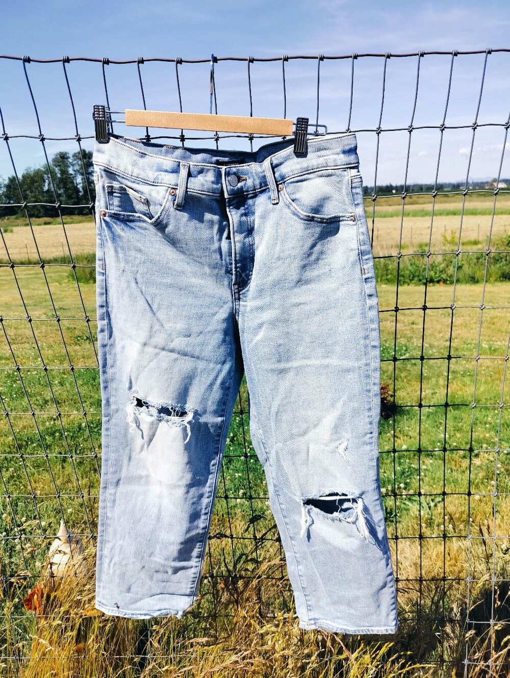 Express Distressed Jeans